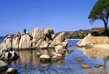 开云下载-联合杯完胜拉沃尔杯，兹维列夫惊艳四座