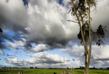 开云下载-世界网球队血洗澳大利亚网球盛宴,瓦林卡三分雨点燃全场热情