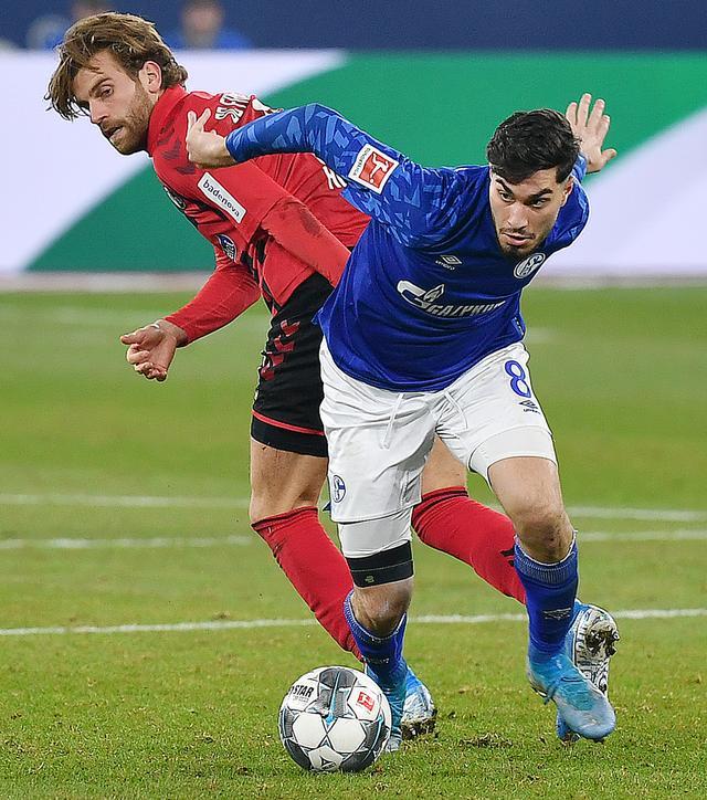 包含沙尔克04主场战平弗赖堡,遭遇不胜的词条 包含沙尔克04主场战平弗赖堡,遭遇不胜的词条