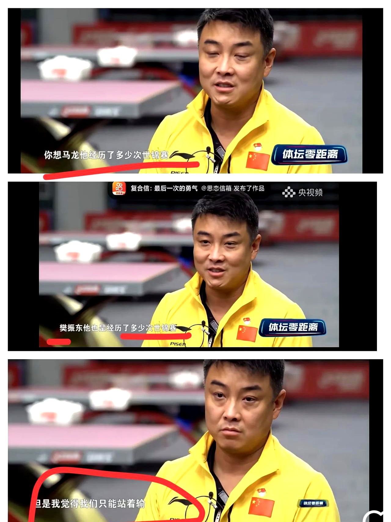 中国乒乓球队碾压法国乒乓球队，王皓关键制胜的简单介绍